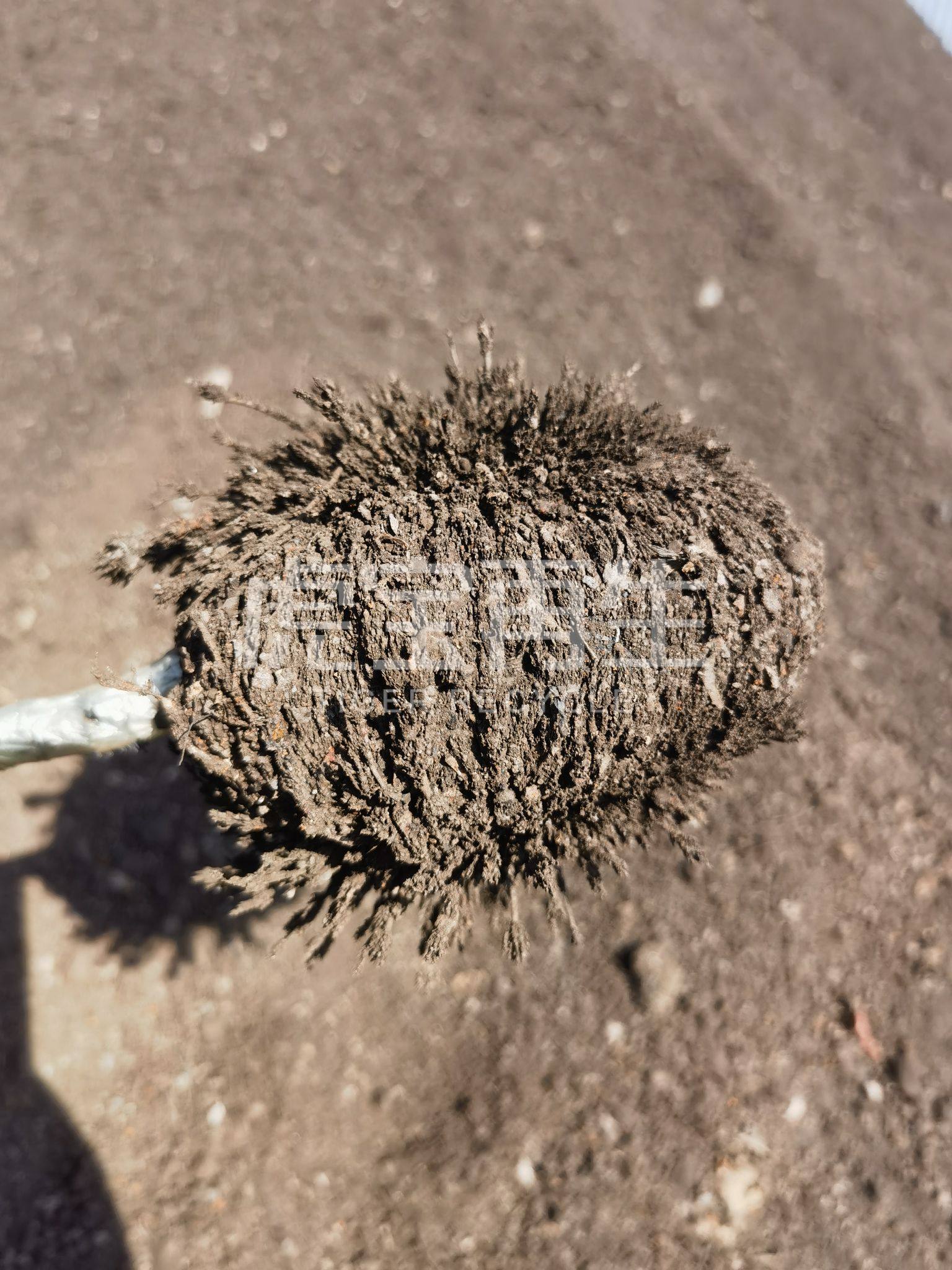 供应：废钢辅助上磁料