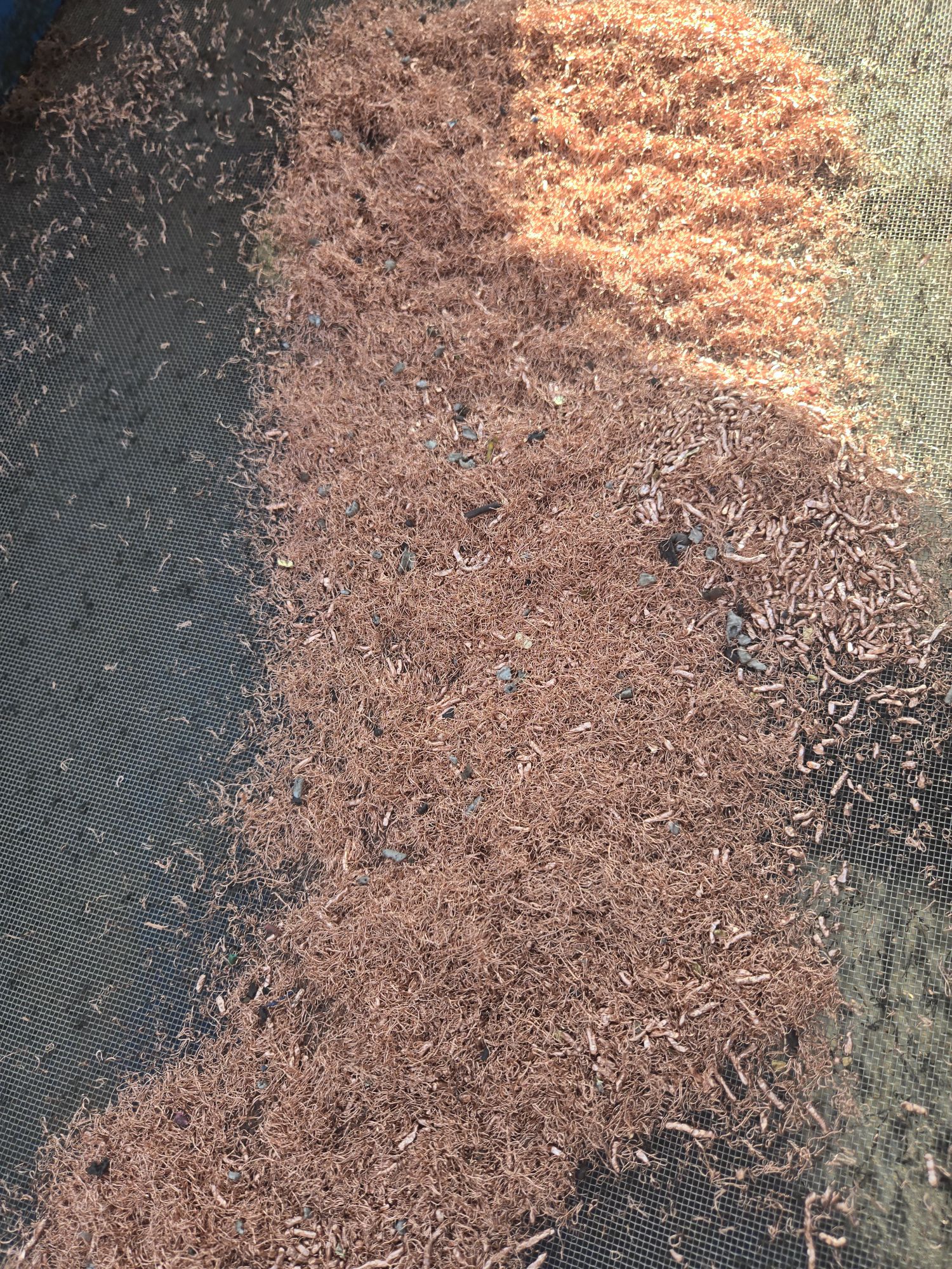 求购：废铜、废电缆、黄铜、变压器等