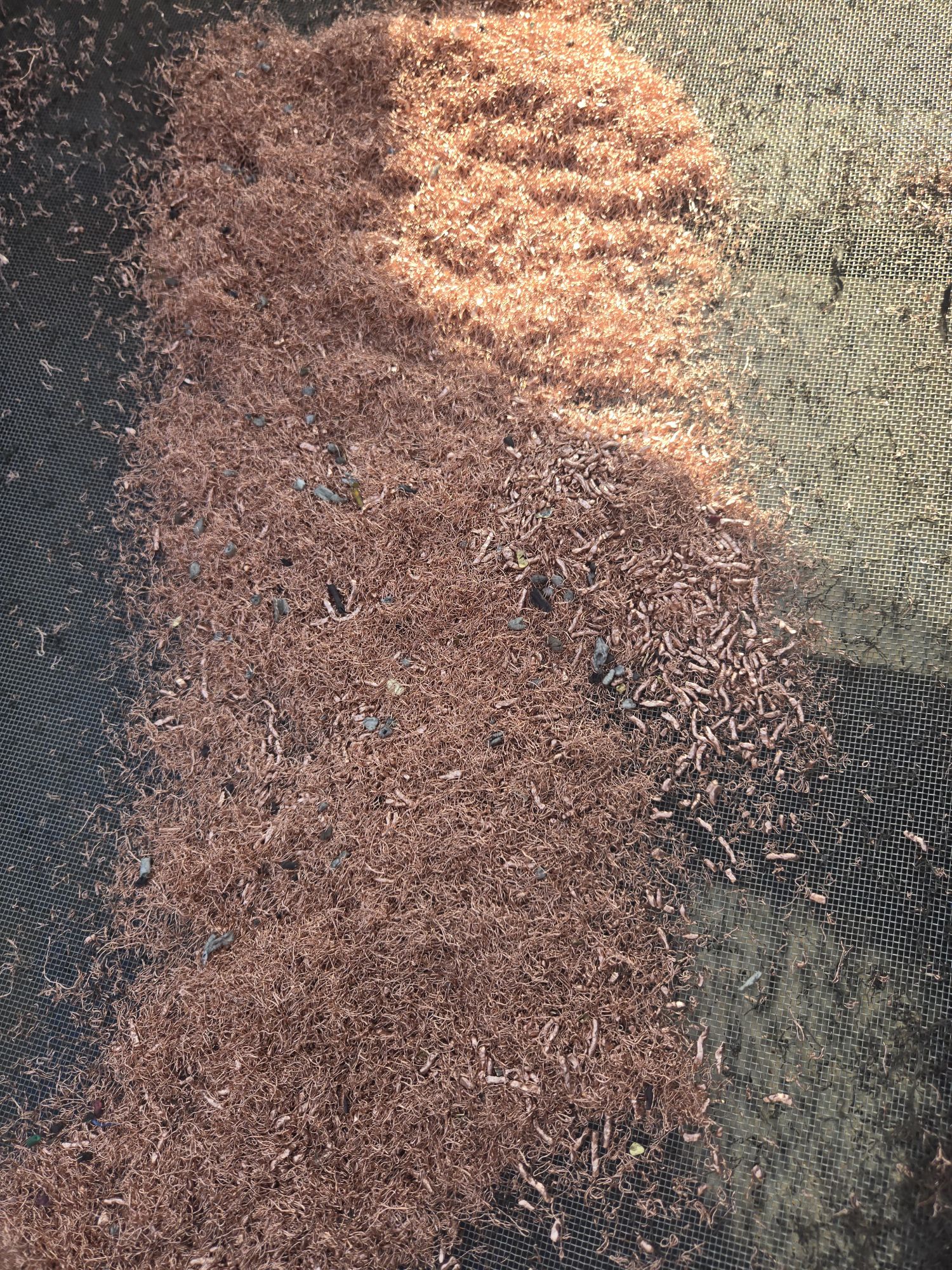 求购：废铜、废电缆、黄铜、变压器等