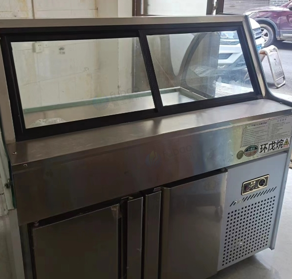 遵义地区处理展示冰柜 