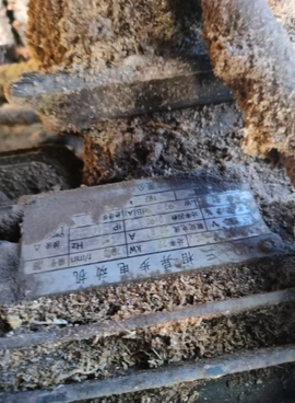 河池地区处理圆木多片锯