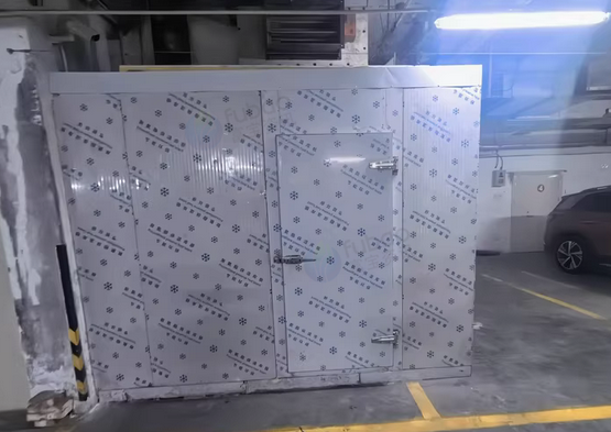 天津地区个人处理水果冷库