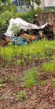 衡阳地区处理履带钻机