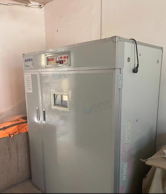 巴音郭楞地区处理孵化机