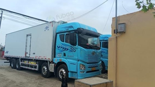 南充地区处理9.6米冷藏车
