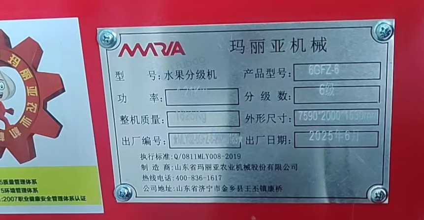 徐州地区工厂处理BFZ-8玛丽亚水果分级机