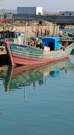 威海地区处理船