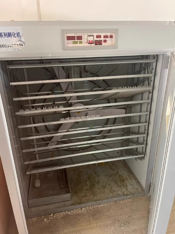 巴音郭楞地区处理孵化机