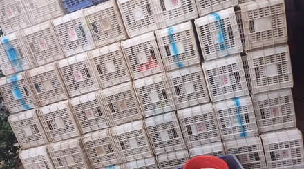 枣庄地区处理1批白色塑料周转筐