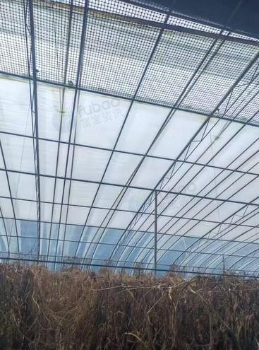 沧州地区个人处理5个新型大棚