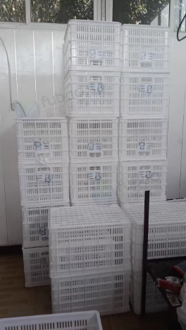 青岛地区处理塑料筐
