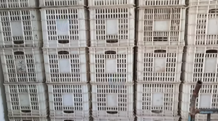 青岛地区处理1批水果筐