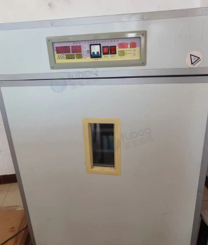 曲靖地区自用处理威亚牌大型孵化器