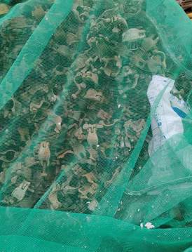 襄阳地区工地处理500吨钢管