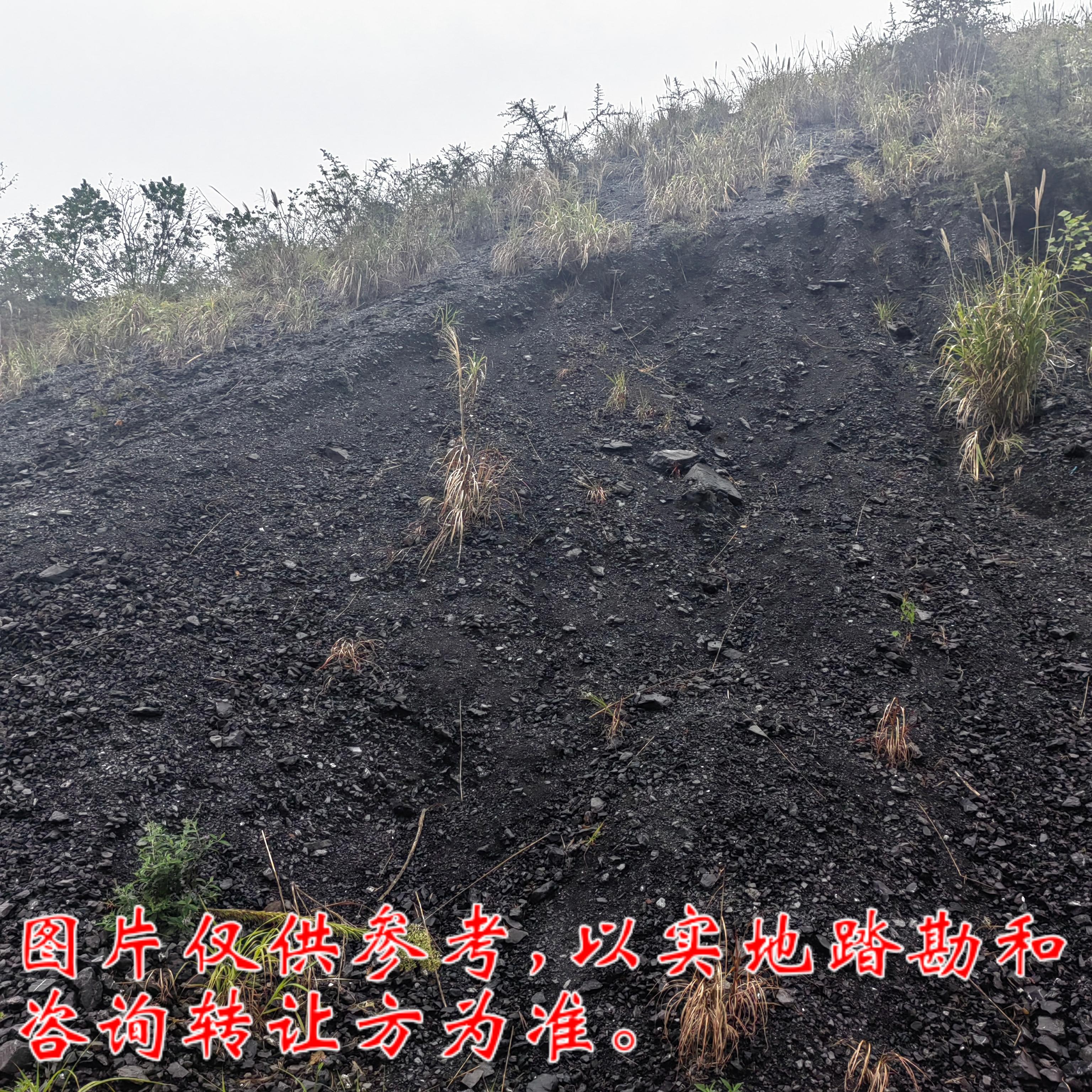 8月29日重庆綦江渝阳煤矿杨地湾等16座煤矸石堆料整体转让公告