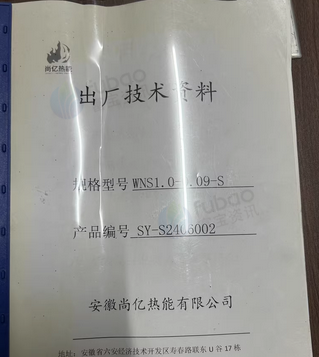 玉林地区工厂处理环保型锅炉