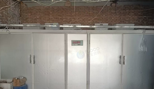 临汾地区个人处理1200型豆芽机