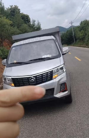 毕节地区处理长安新豹T3货车