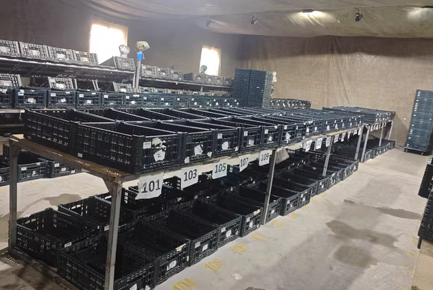 沈阳地区处理1300多个折叠筐