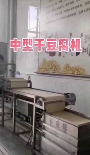 双鸭山地区处理长庆隆中型干豆腐机