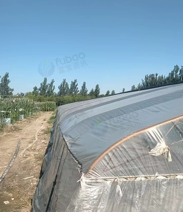 徐州地区处理80*8m大棚、钢管骨架、棉被卷帘机一套