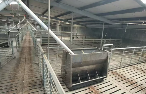 潍坊地区处理猪场全套设备