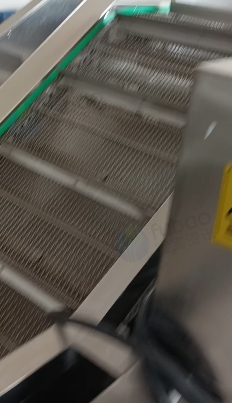 钦州地区处理水果蔬菜清洗消毒风干设备