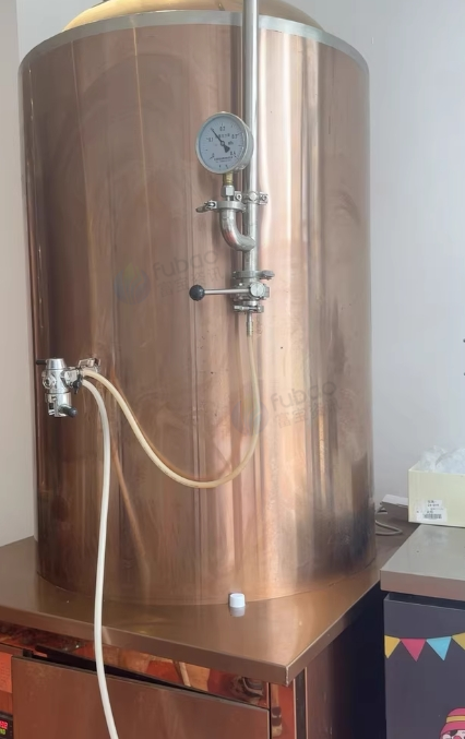 成都地区个人处理麦德森品牌精酿啤酒酿酒设备