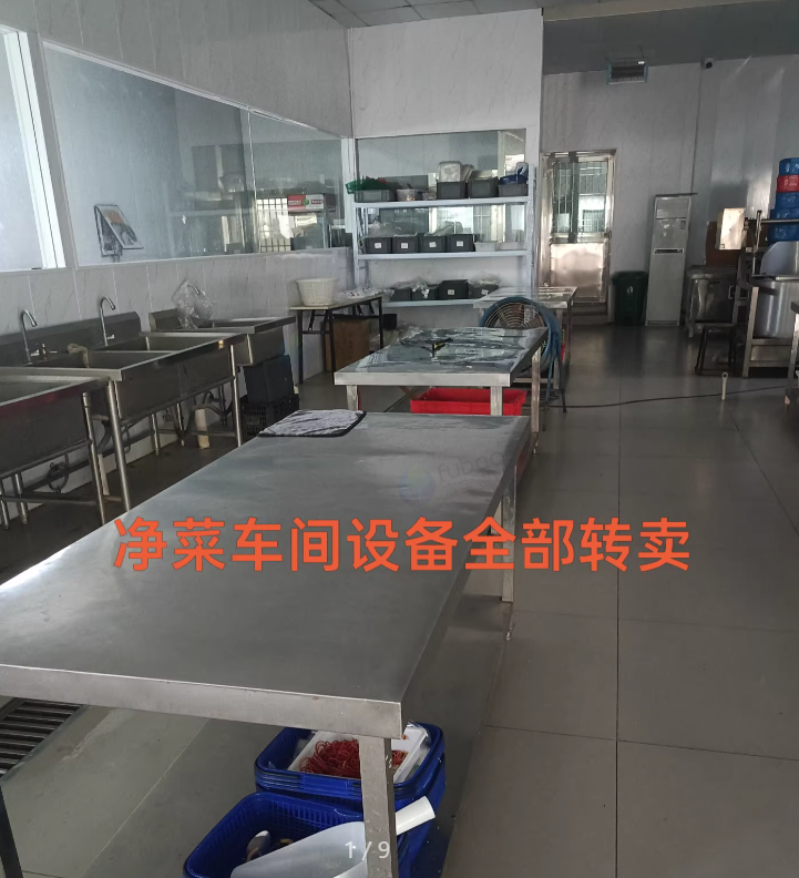 无锡地区工厂处理净菜车间设备全套