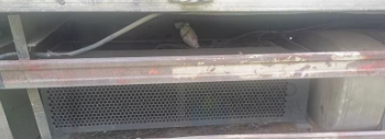 聊城地区处理19年解放J6P冷藏车