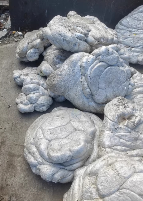 台州地区处理泡沫冷融机