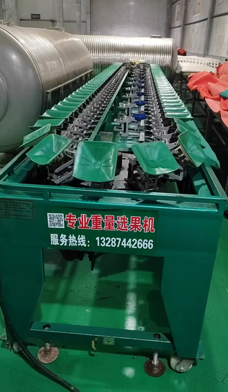 重庆地区处理水果自动选果设备