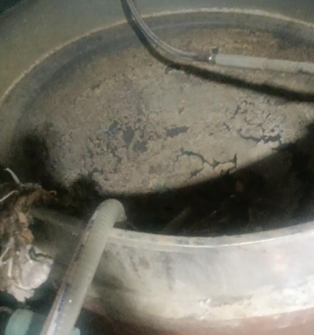 连云港地区工厂处理豆腐机全套设备