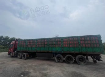 潍坊地区处理13米半挂车