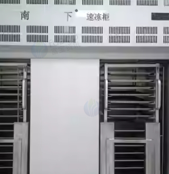 深圳地区处理速冻柜