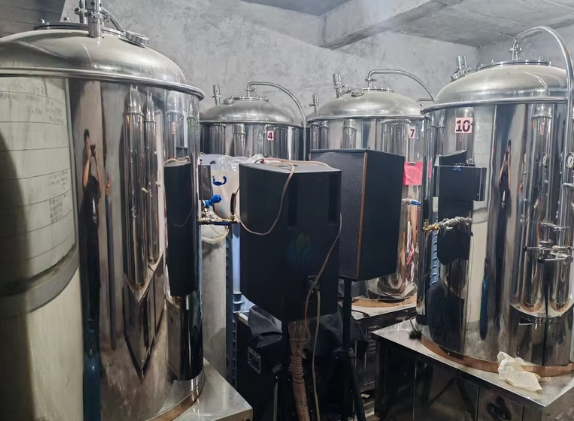 龙岩地区处理鲜啤酿造设备