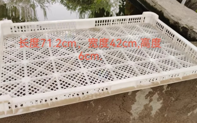 巴音郭楞地区处理一批干果晾盘
