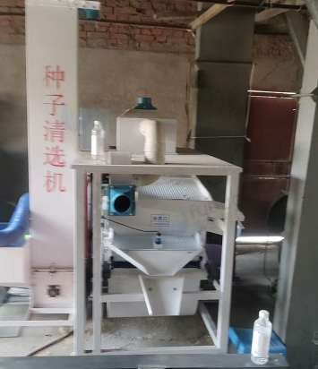 吉林地区个人处理种子清选机