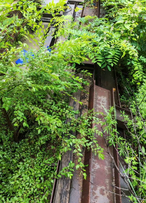 抚顺地区处理15根左右工字钢