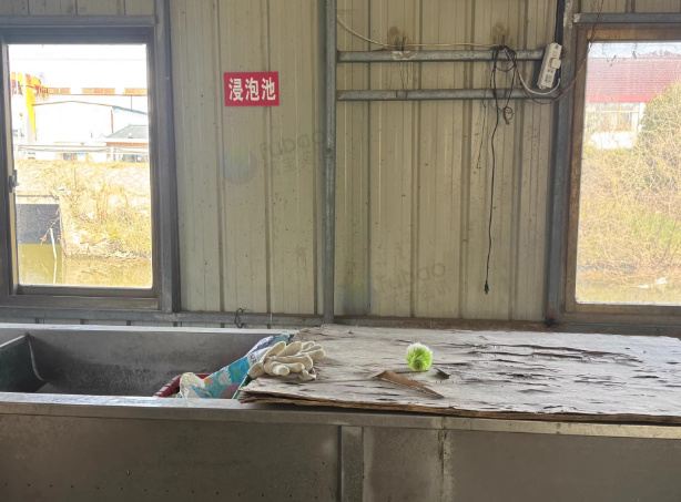 南通地区工厂处理消毒餐具自动除渣清洗包装收缩设备