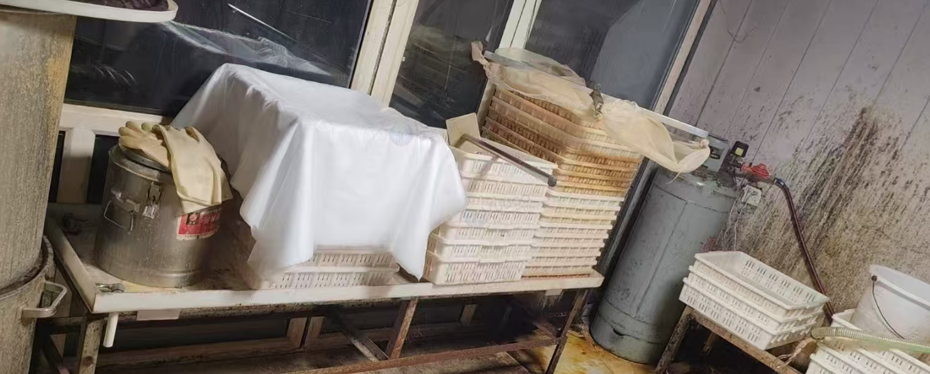 长春地区工厂处理豆腐机豆腐设备
