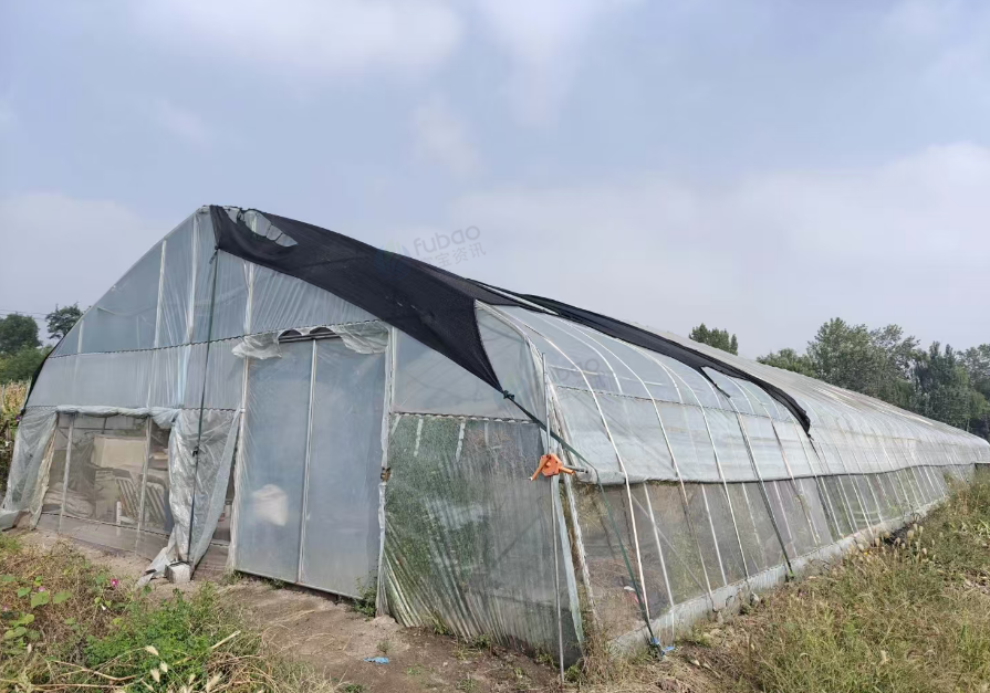 太原地区个人闲置处理蔬菜大棚