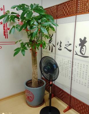 厦门地区处理闲置办公用品