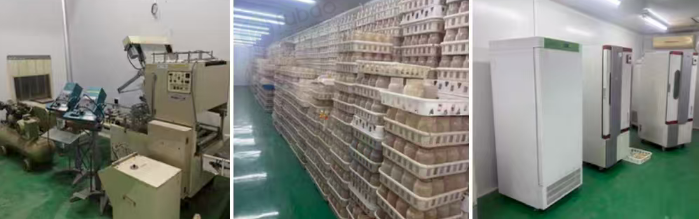 北京地区处理一批日本进口蘑菇工厂化生产设备