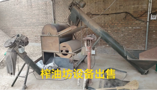 保定地区个人处理榨油机全套设备