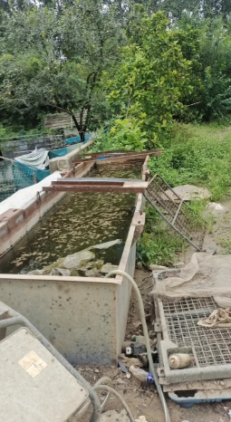 临沂地区处理粉碎机 上料机 点盘 水池 全套电机设备
