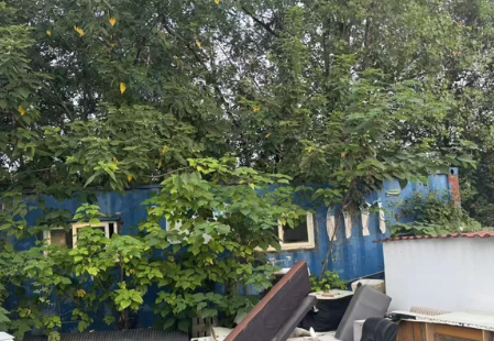 杭州地区处理集装箱