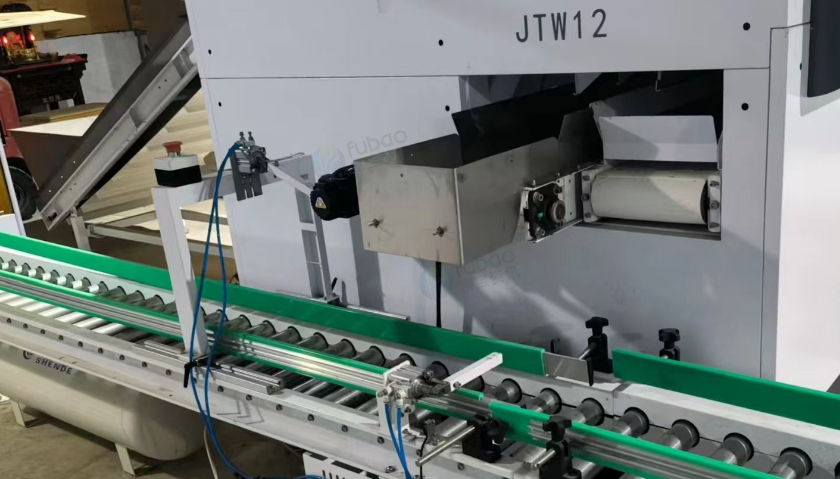 广州地区处理果蔬全自动称重打包流水线