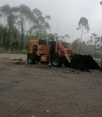 玉林地区处理铲车