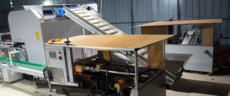 广州地区处理果蔬全自动称重打包流水线